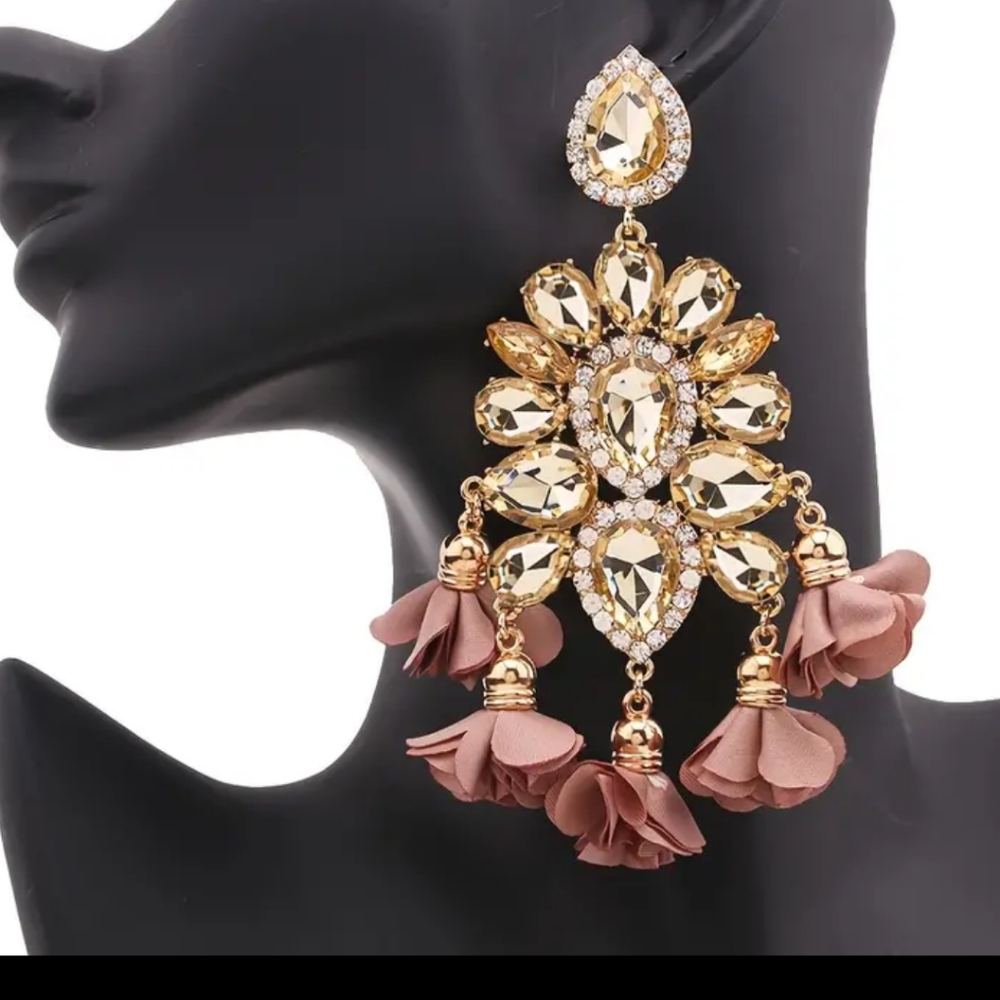 Fashion Earrings